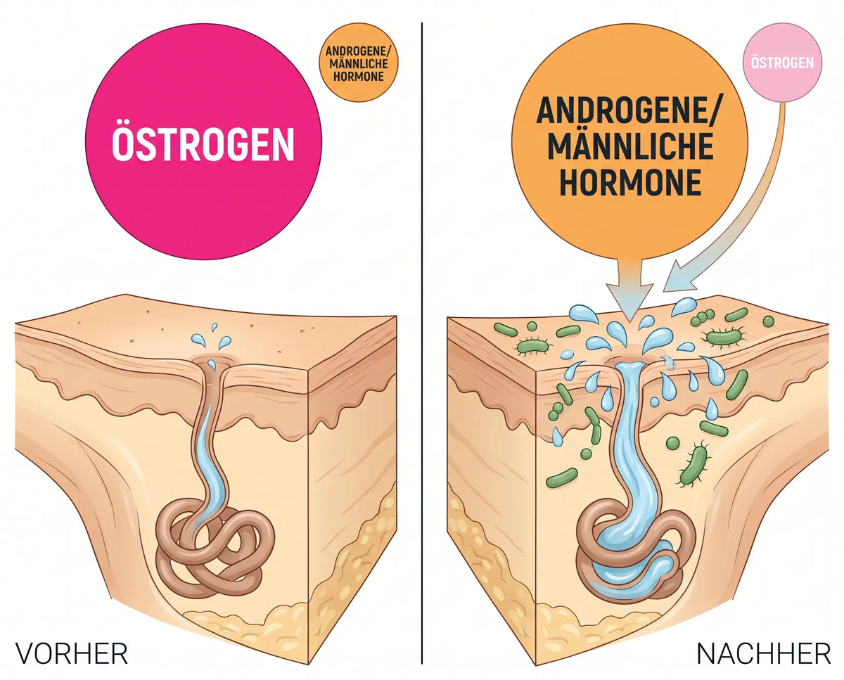 Geht das Östrogen zurück, verschiebt sich das Verhältnis zu den männlichen Hormonen. Genau darauf reagieren die Drüsen in den Achseln.